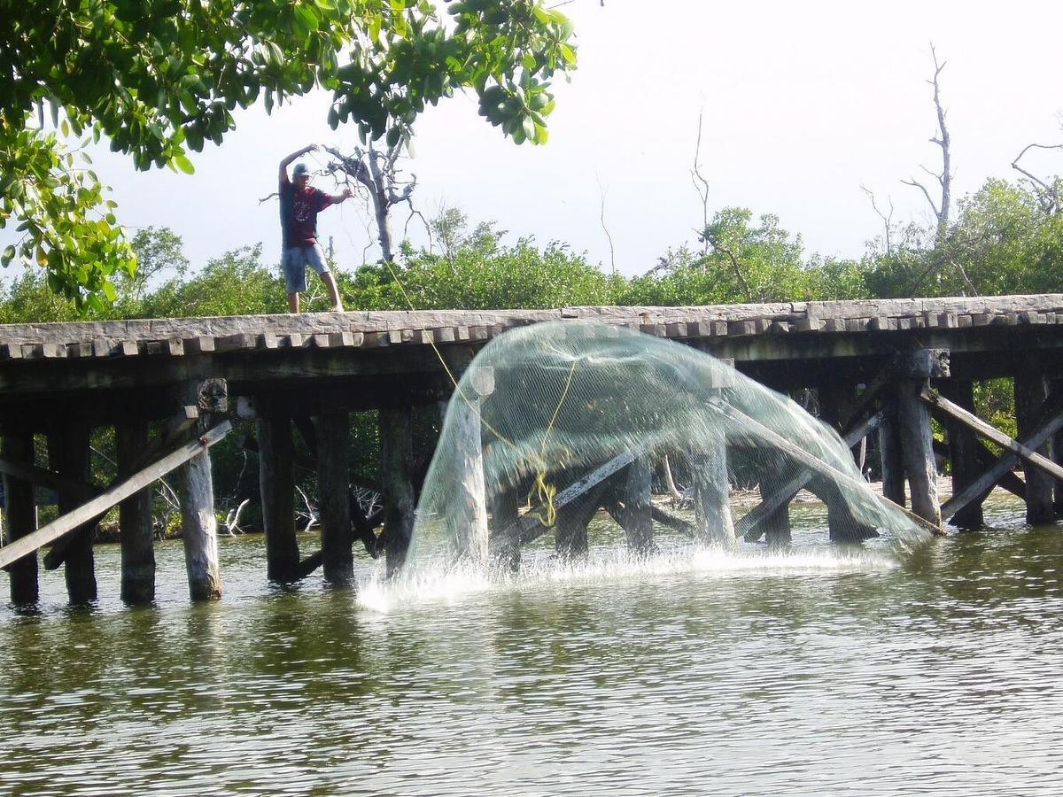 Antigua Lodge, 70 M From Sandy Beach El Cuyo Bagian luar foto